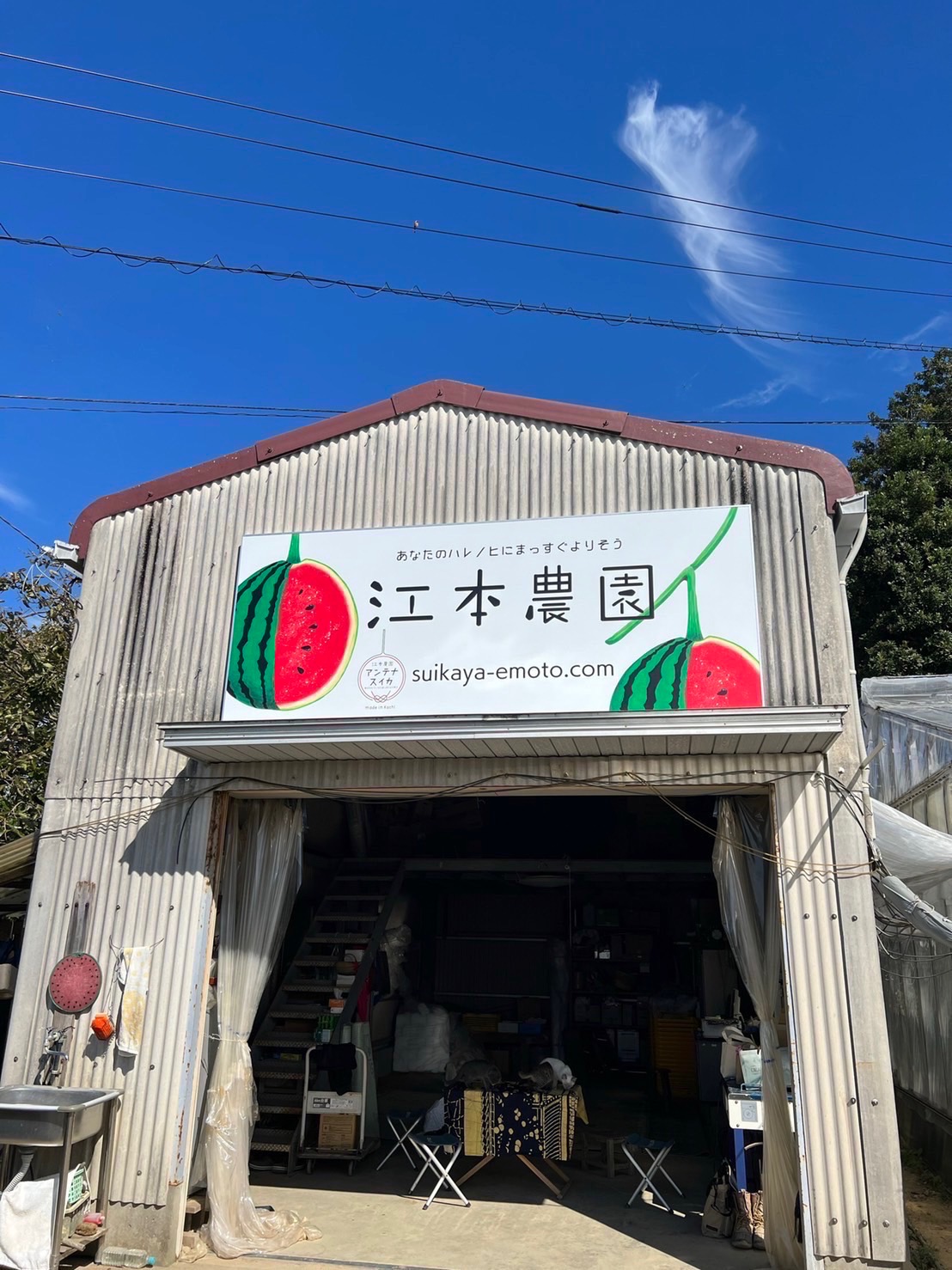 看板製作】高知・江本農園さまにご依頼いただきました！ | 住まいる高知